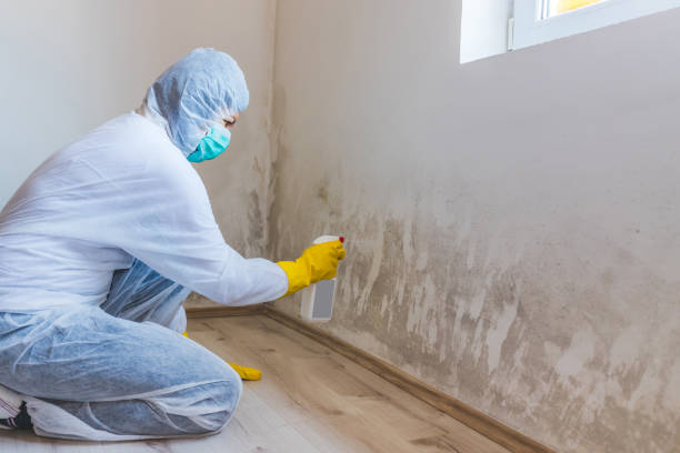 Commercial Mold Remediation assessment for commercial property in Fairfax